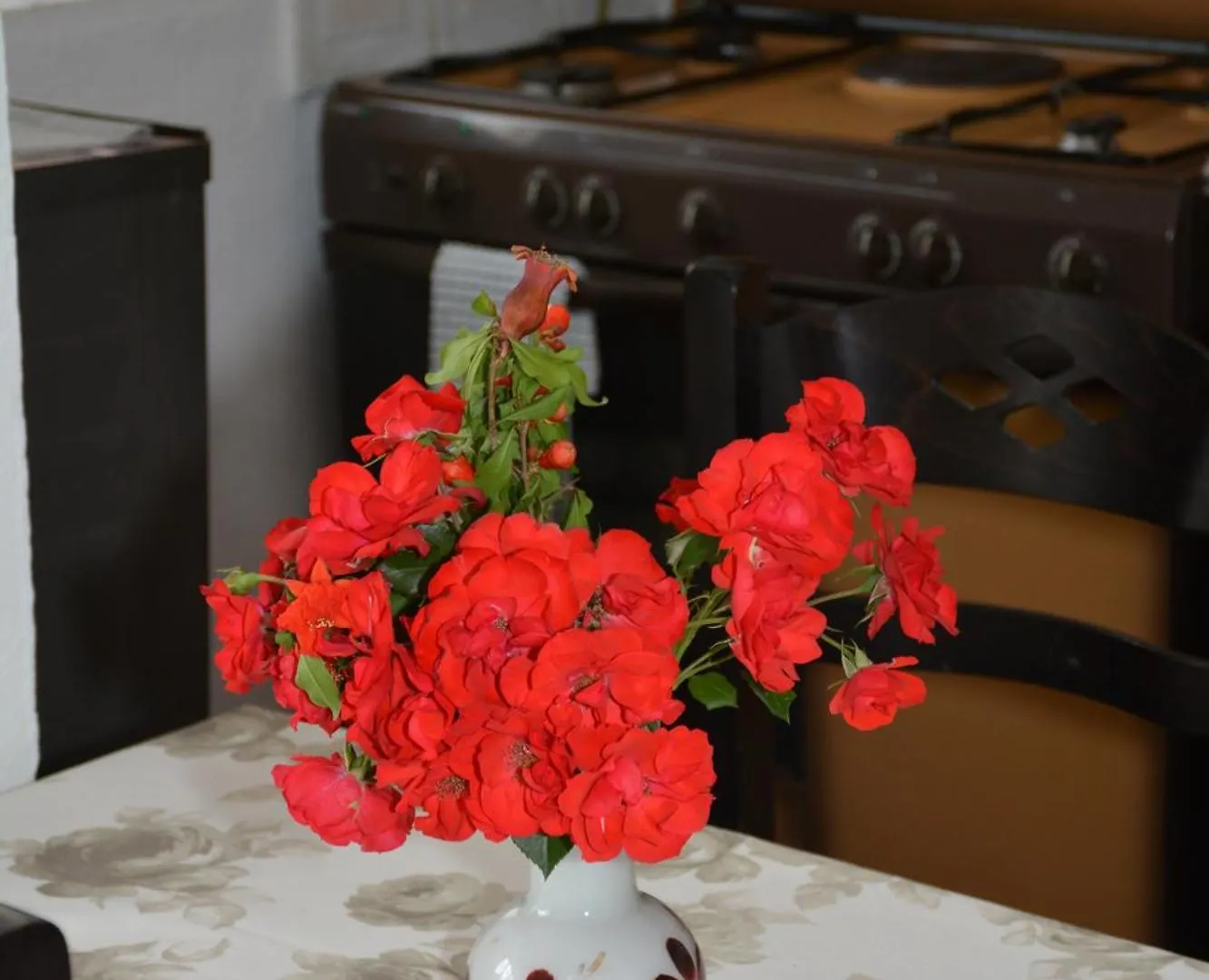 Guesthouse Odobashi Zhaban Albania